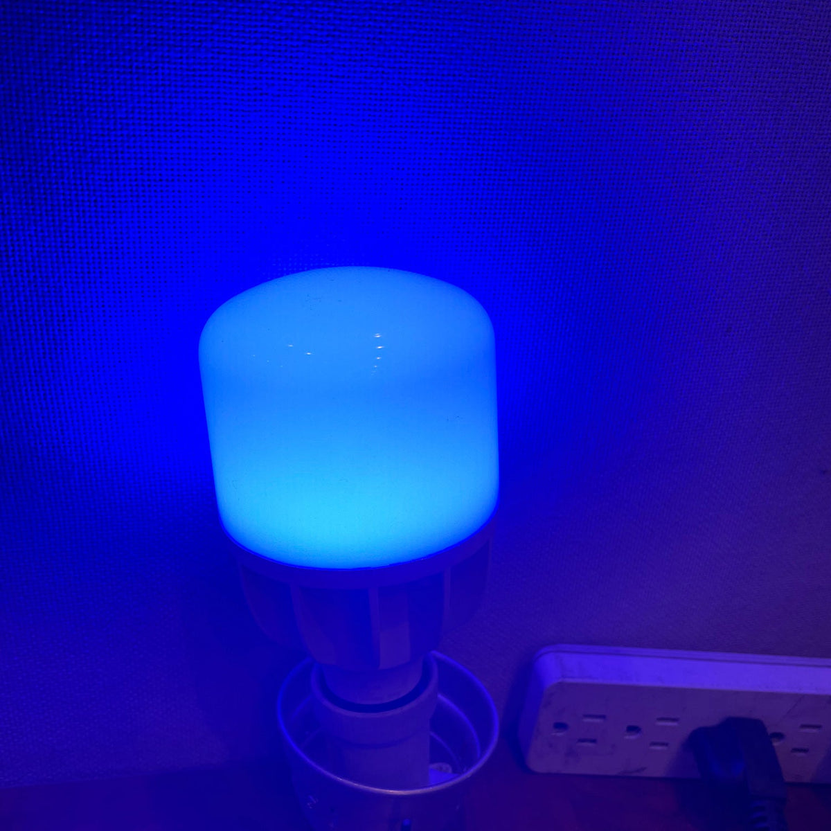 Philips 4w Blue LED E26 Base 120-277V CorePro Non-Dimmable Bulb