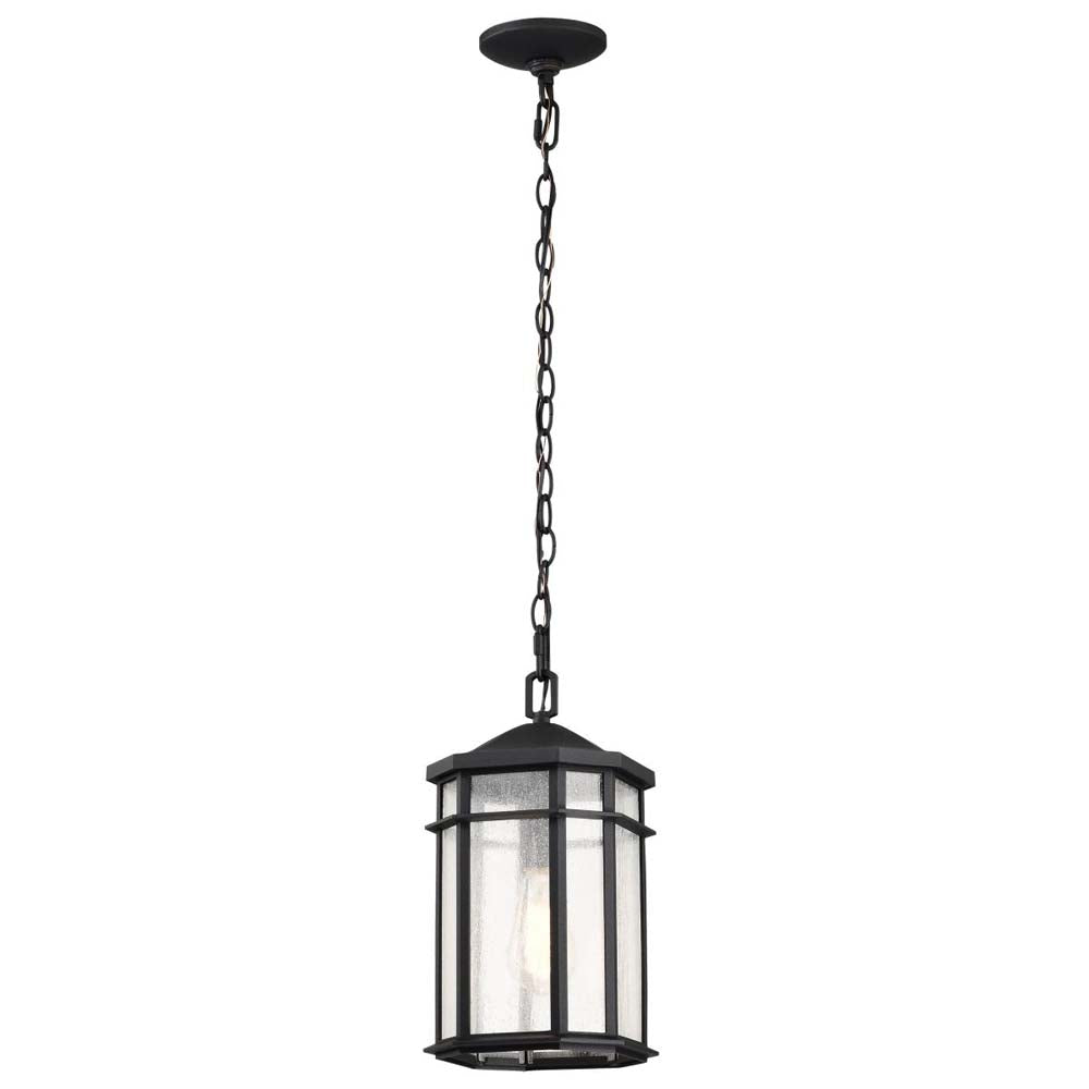 Raiden Outdoor 14.5-in Hanging Light Matte Black Finish w/ Clear Seedy Glass