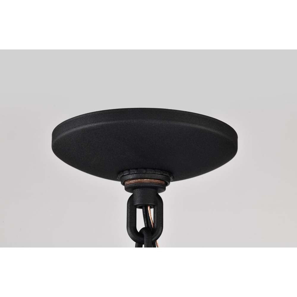 Raiden Outdoor 14.5-in Hanging Light Matte Black Finish w/ Clear Seedy Glass