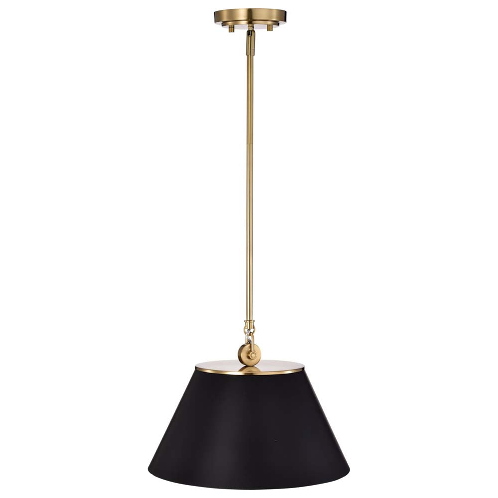 Dover 1-Light Medium Pendant Black with Vintage Brass