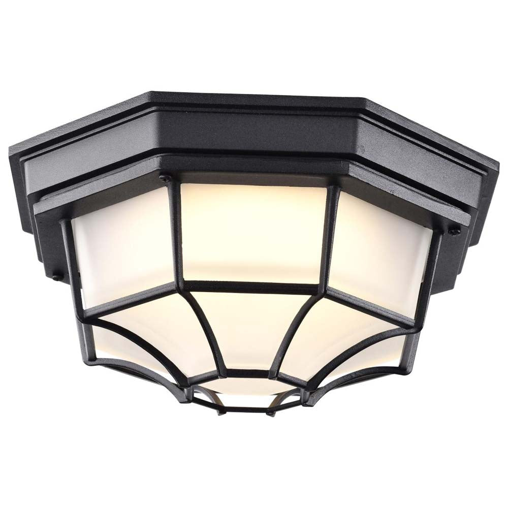 LED Spider Cage Fixture Black Finish w/ Frosted Glass