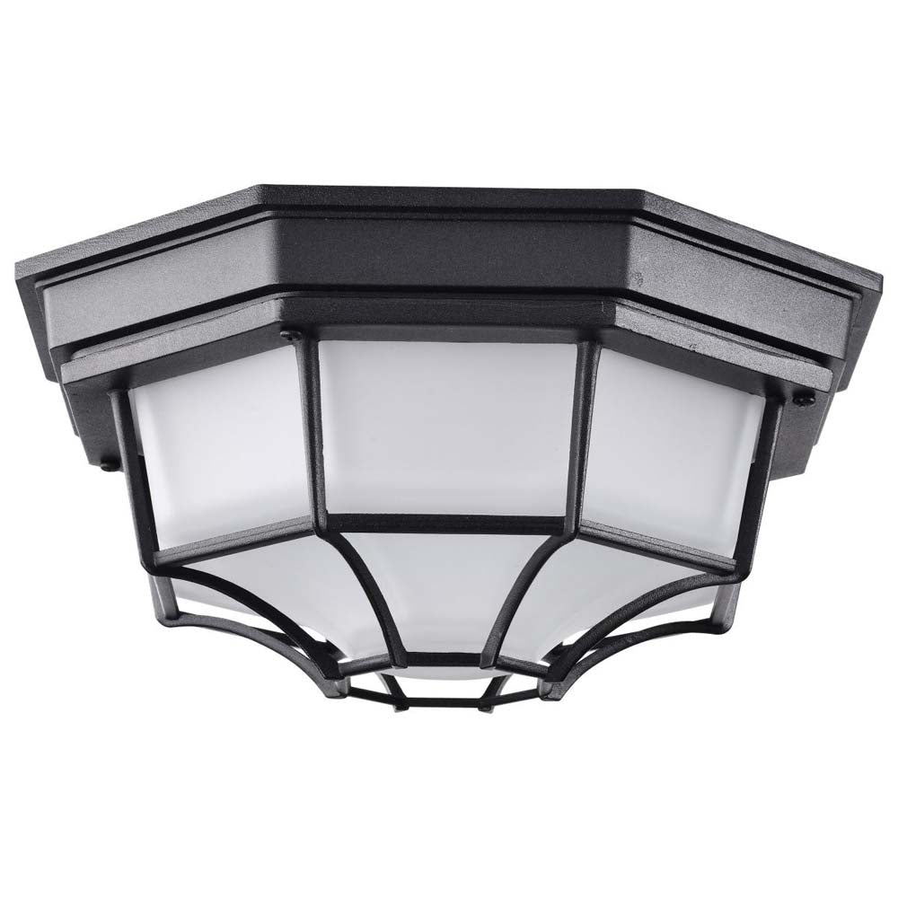 LED Spider Cage Fixture Black Finish w/ Frosted Glass