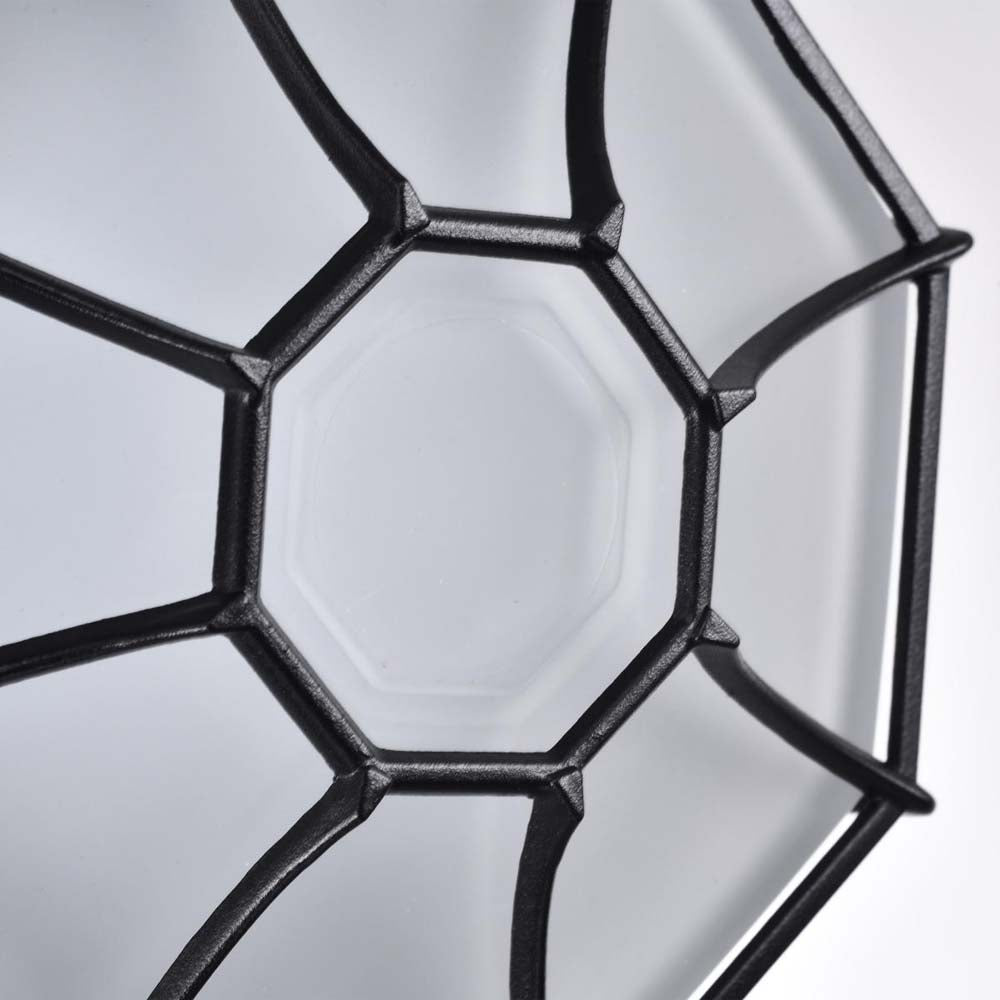 LED Spider Cage Fixture Black Finish w/ Frosted Glass