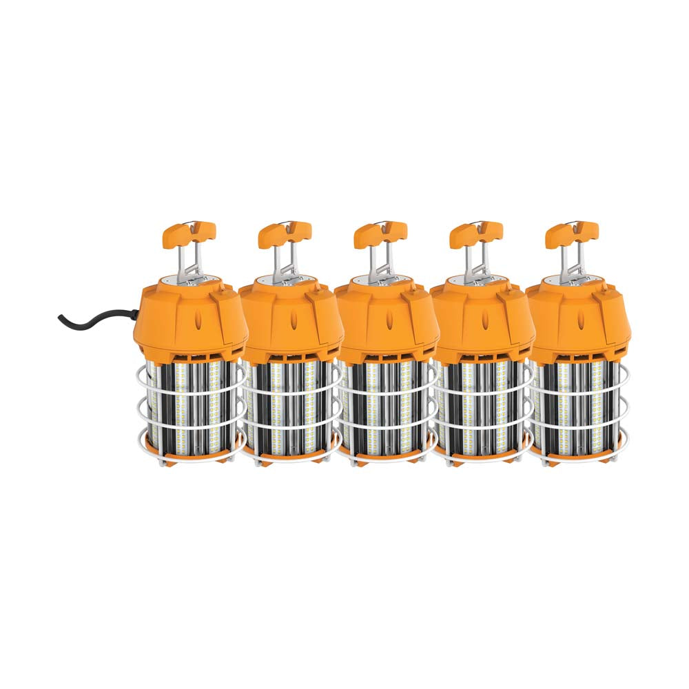 Satco 100w LED Hi-Lumen temporary Hi-Bay Caged lamp 5000K 120v