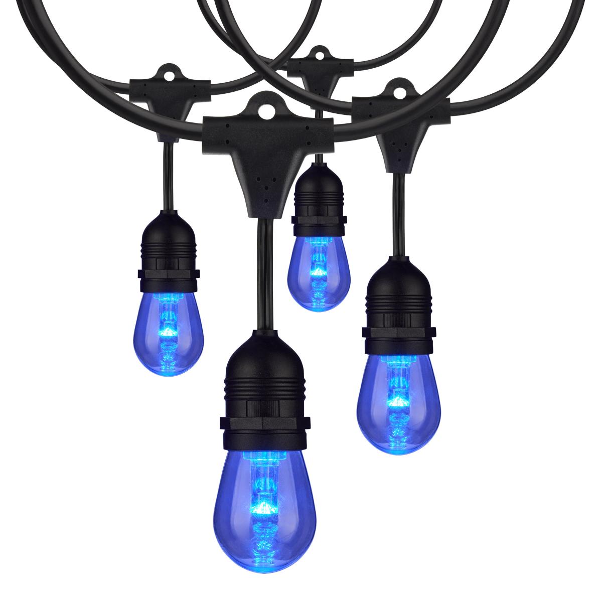 48-ft 15w 120v 15-S14 lamps RGBW with Infrared Remote LED String Light