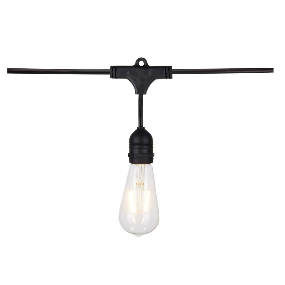 24-ft 24w 120v LED String Light - Include 12 Vintage ST19 bulbs