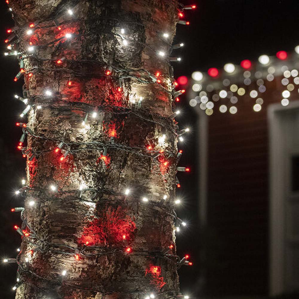 Wintergreen 70 5mm Red Cool White LED Christmas Lights 4in. Spacing 120v