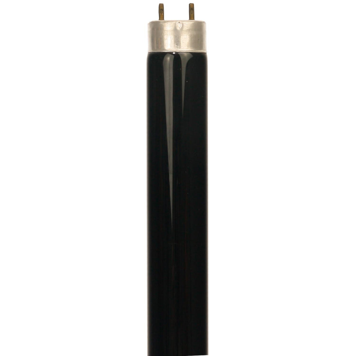 F20T12BLB - 20 watt 24 inch T8 Blacklight Blue Fluorescent Tube Lamp