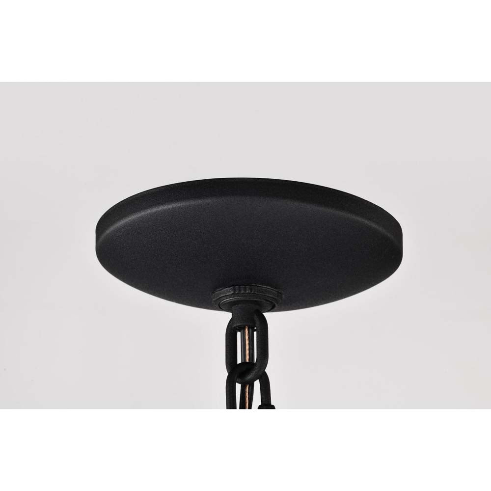 East River Outdoor 14.5-in Hanging Light Matte Black Finish w/ Clear Water Glass
