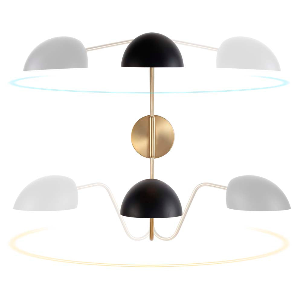 Trilby 2-Light Wall Sconce Matte Black with Burnished Brass