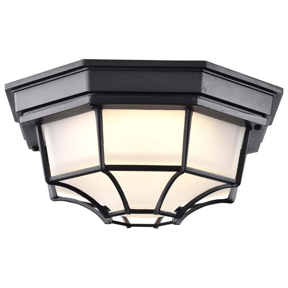 LED Spider Cage Fixture Black Finish w/ Frosted Glass