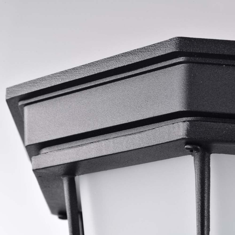 LED Spider Cage Fixture Black Finish w/ Frosted Glass