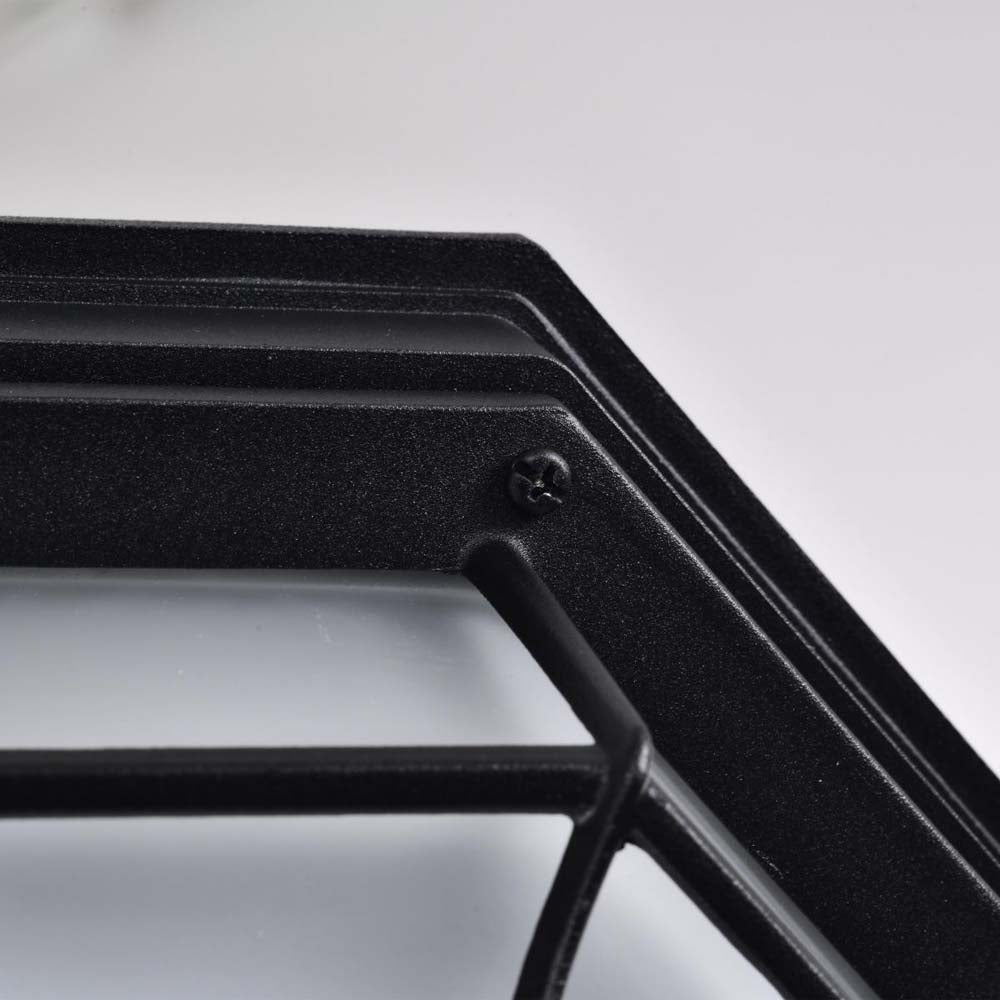 LED Spider Cage Fixture Black Finish w/ Frosted Glass
