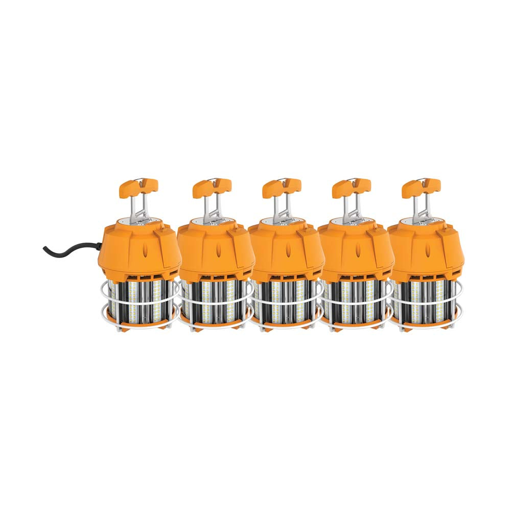 Satco 60w LED Hi-Lumen temporary Hi-Bay Caged lamp 5000K 120v