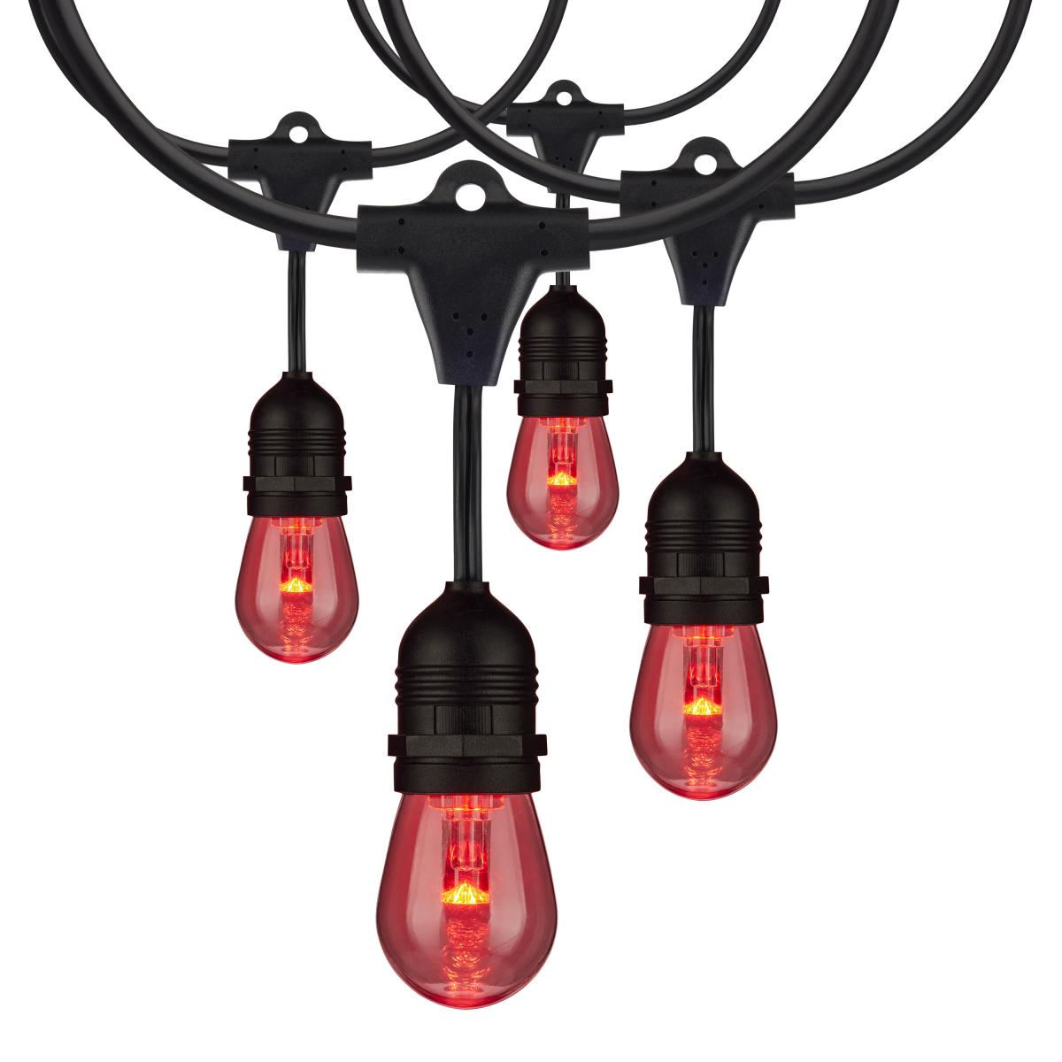 48-ft 15w 120v 15-S14 lamps RGBW with Infrared Remote LED String Light