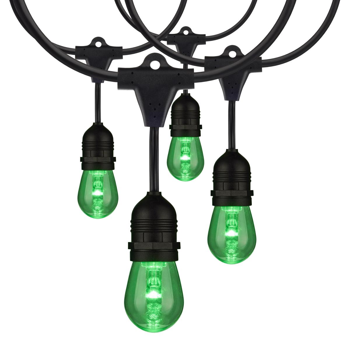48-ft 15w 120v 15-S14 lamps RGBW with Infrared Remote LED String Light
