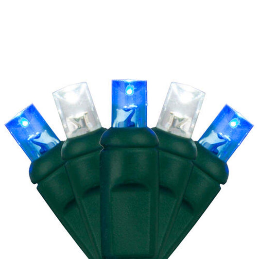 Wintergreen 70 5mm Blue Cool White LED Christmas Lights 4in. Spacing 120v