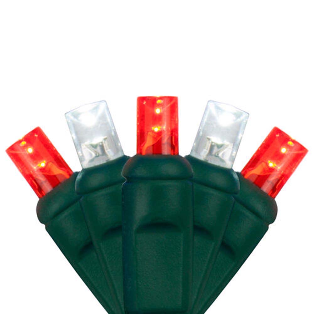 Wintergreen 70 5mm Red Cool White LED Christmas Lights 4in. Spacing 120v